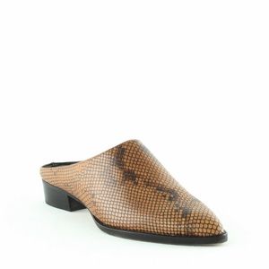 Dolce Vita Aven Snake Print Mule
